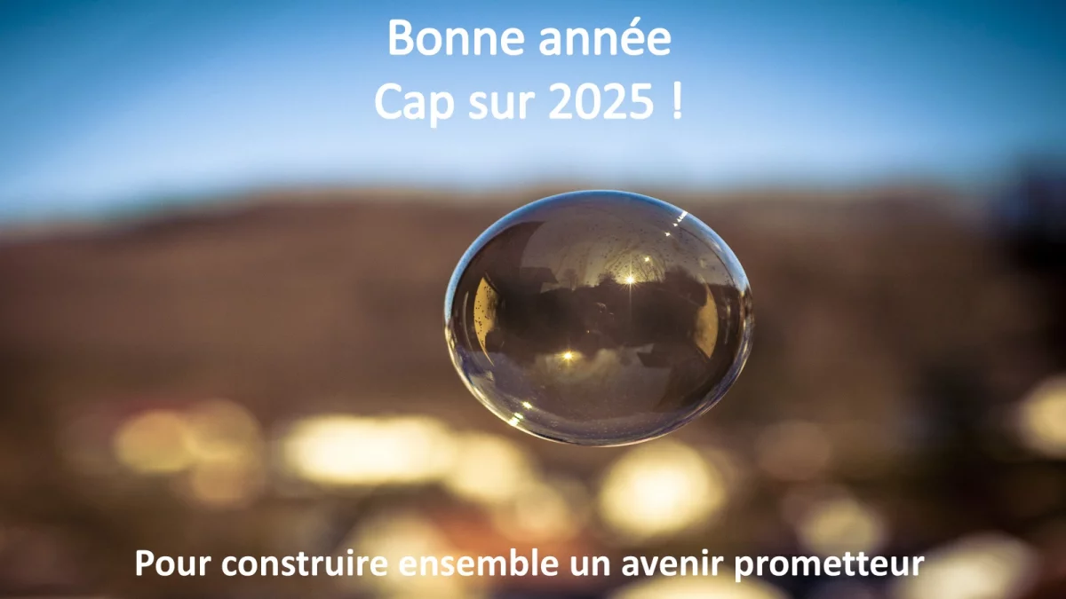 Toute l'équipe de Dubost & Cie vous souhaite une bonne année 2025